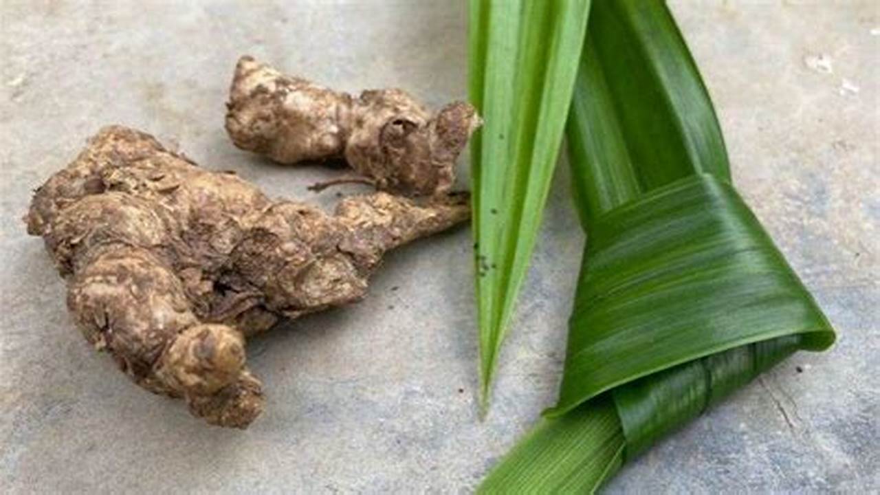 Manfaat Daun Pandan dan Jahe